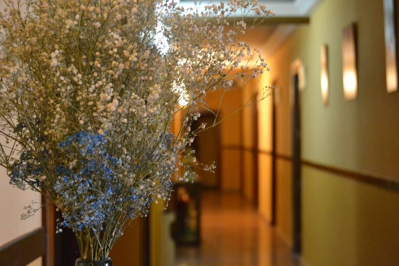 Pension Rural El Ma�o