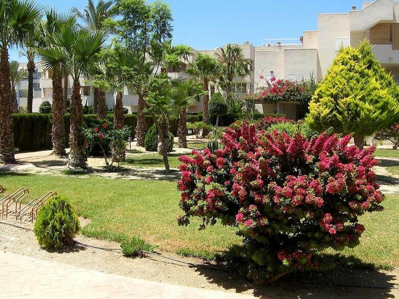 Apartamento Dragos