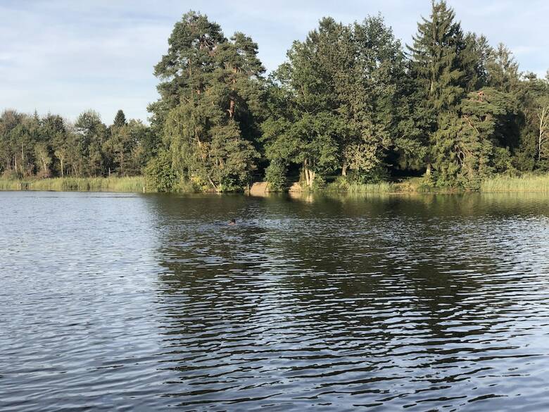 Pia's Nature Retreat