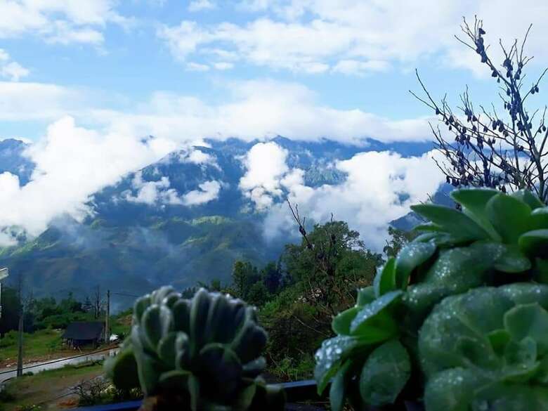 Hostal Check In Sapa Hostel And Coffee
