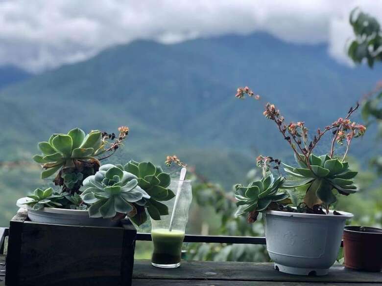 Hostal Check In Sapa Hostel And Coffee