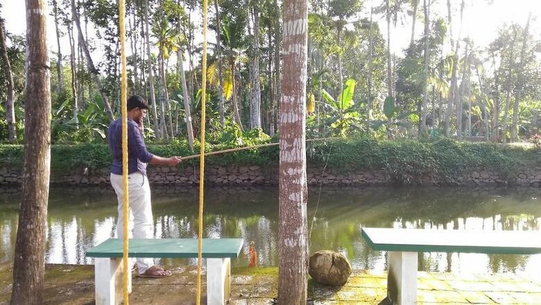 Bed & Breakfast Kuttickattil Gardens Home Stay