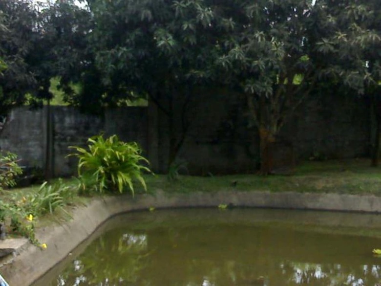 Hotel Rex Habitat And Cultural Display Area