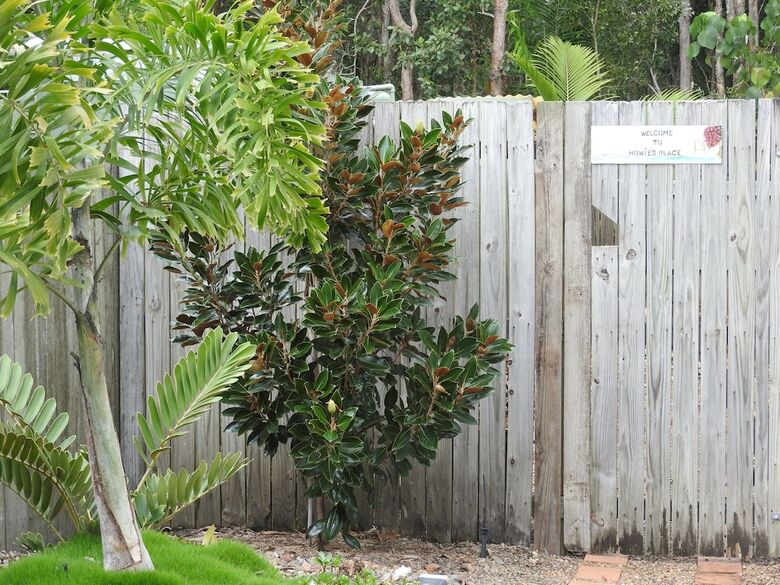 Hotel Howie's Place Noosa