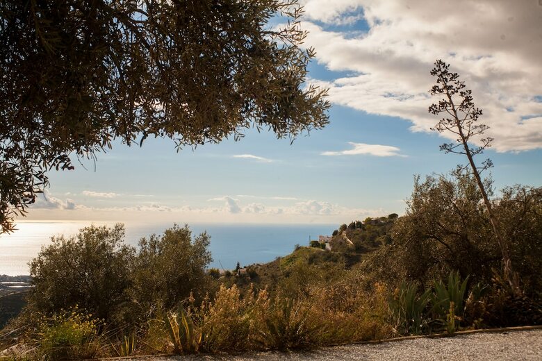 Campo Agave - Boutique B&B En Glamping