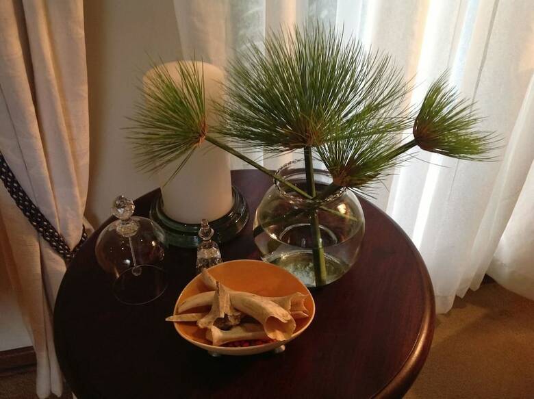 Hotel Plumbago�guest�house
