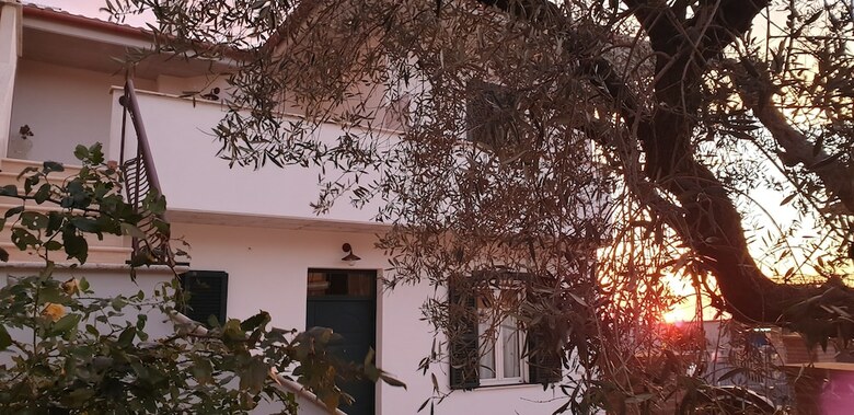 B&B Il Falco E L'ulivo