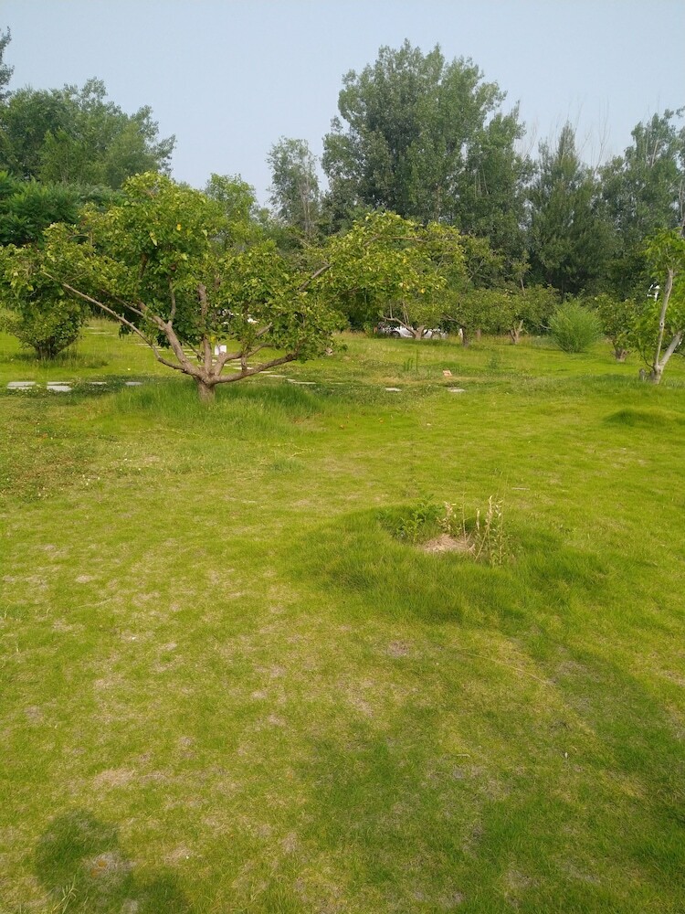 Hotel Solar Food&drink Campsite