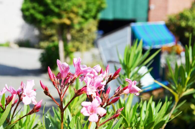 Bed & Breakfast Landhof Liebsch