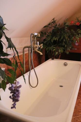 Bed & Breakfast Grand Panorama
