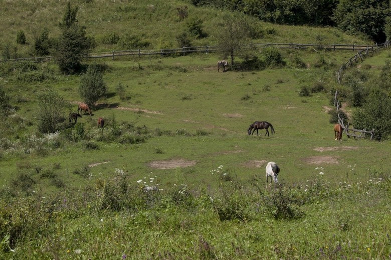 Apartamentos Ranch Jelov Klanac