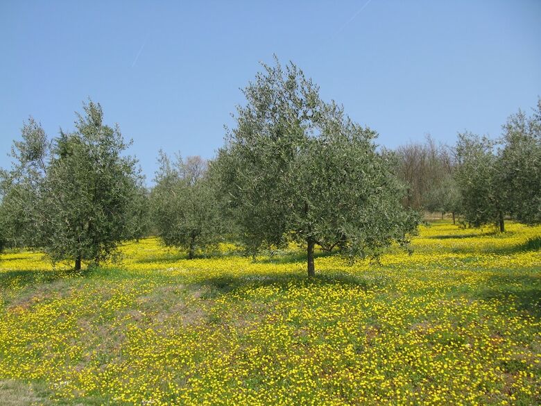 B&B Paglia E Fieno