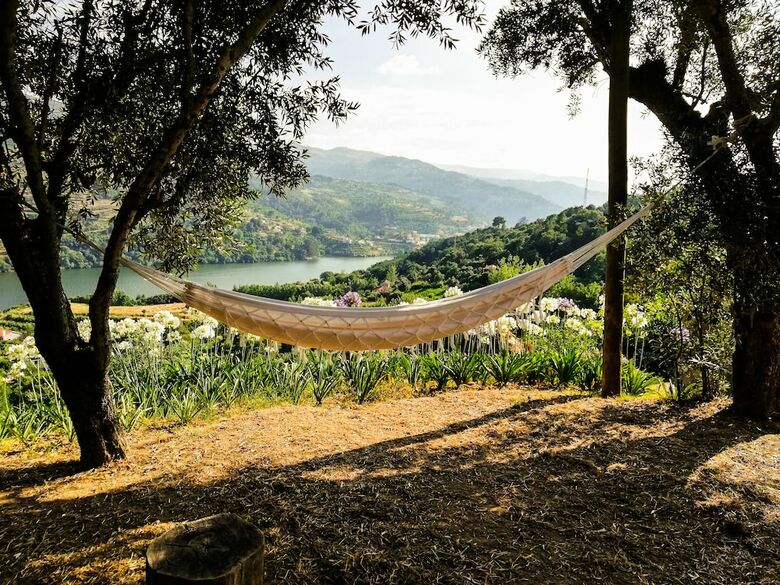 Casa Da Mouta - Douro Valley
