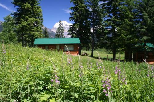 Mount Robson Lodge