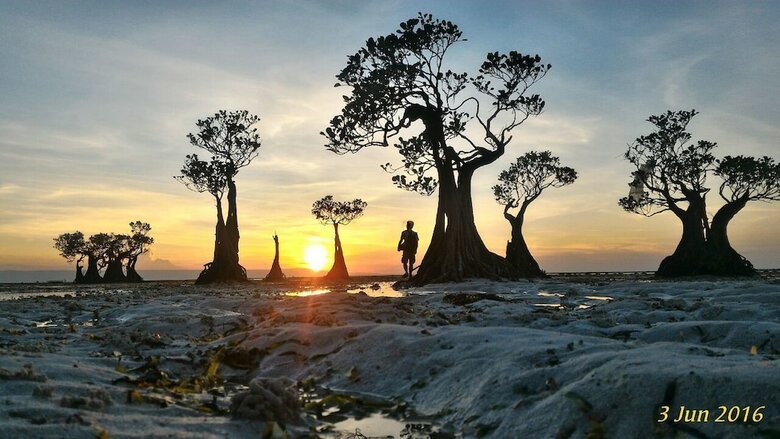 Bed & Breakfast Wera Beach Resort