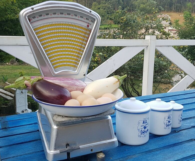 Bed & Breakfast Madeinfofan- Adults Only