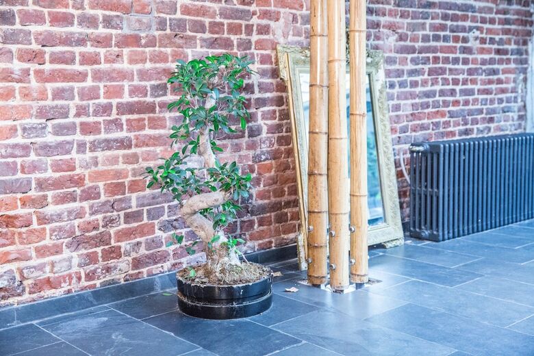 Bed & Breakfast Bnb Nest