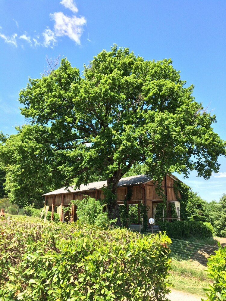 Apartamento Agriturismo Il Pallocco