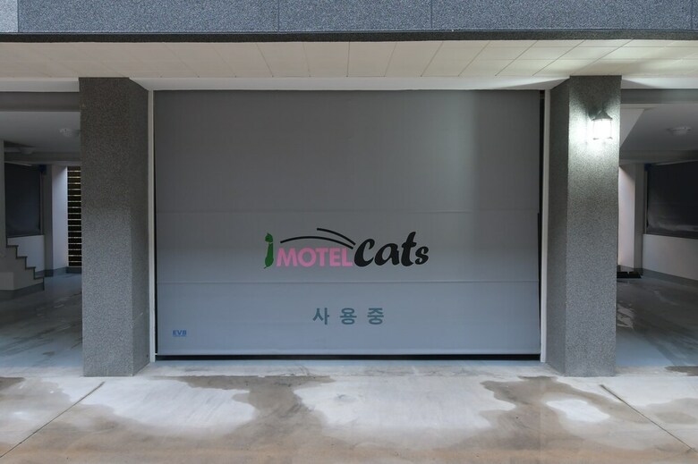 Motel Cats Hotel