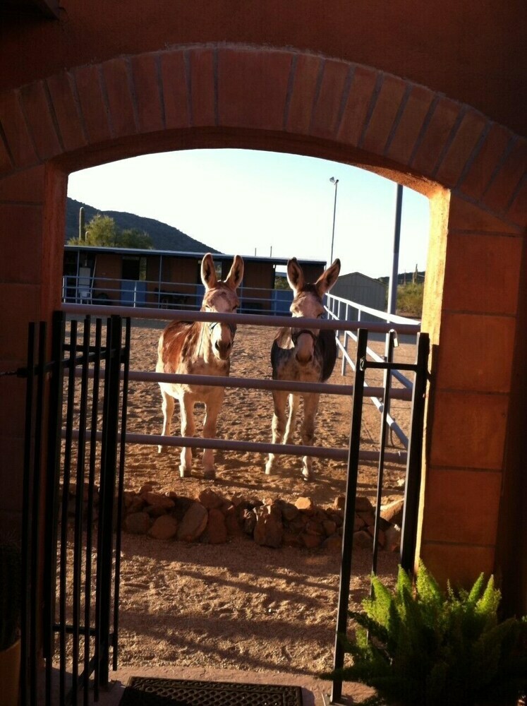 Full Circle Ranch B&B Inn