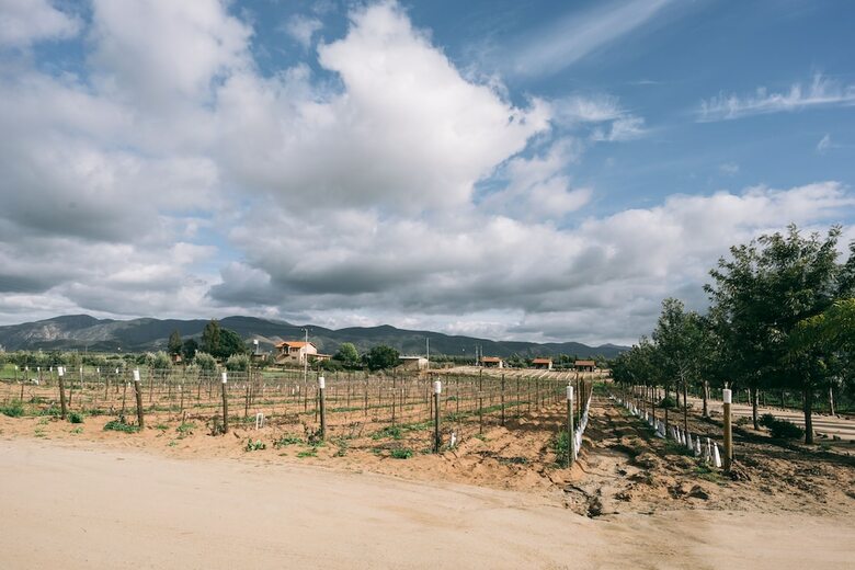 Hotel Villas En Los Reto�os