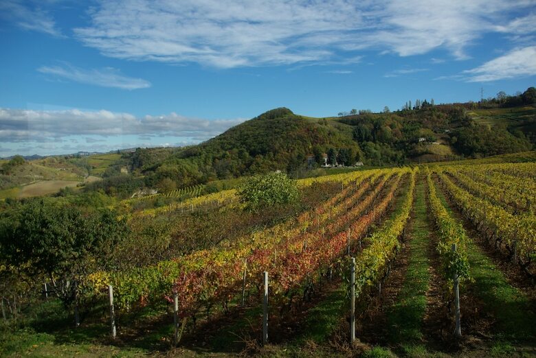 Agroturismo Agriturist Rupestr