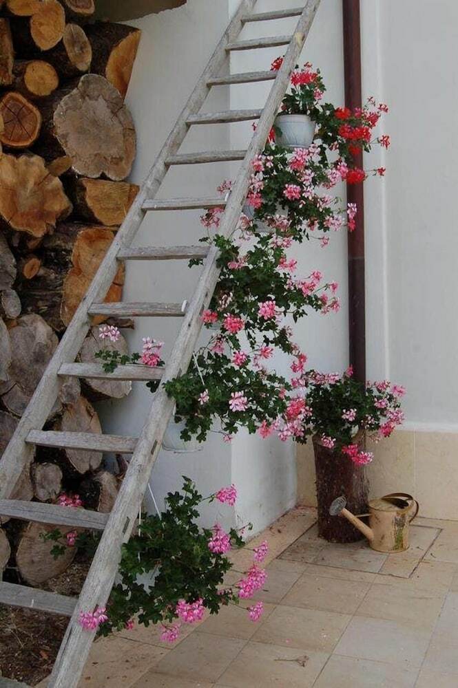 Bed & Breakfast Villa Cappelletti