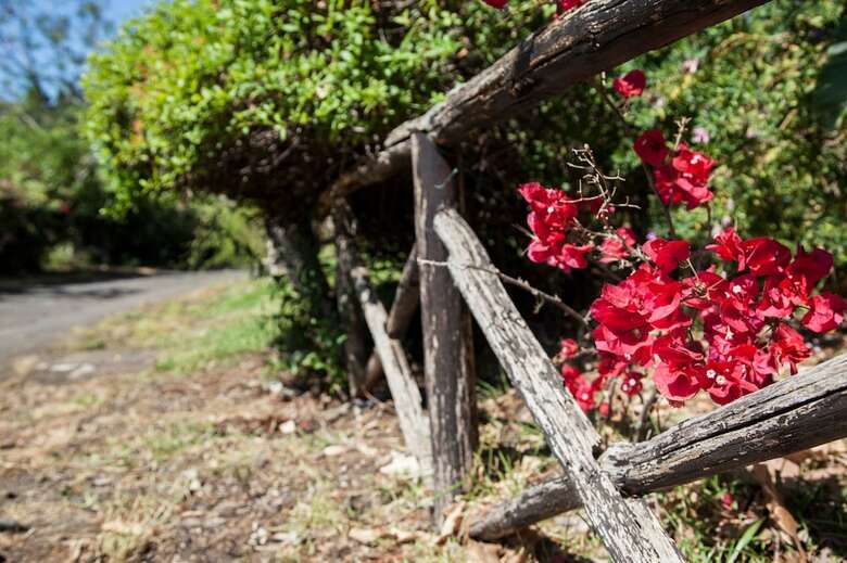 Agroturismo Tenuta Santa Tecla
