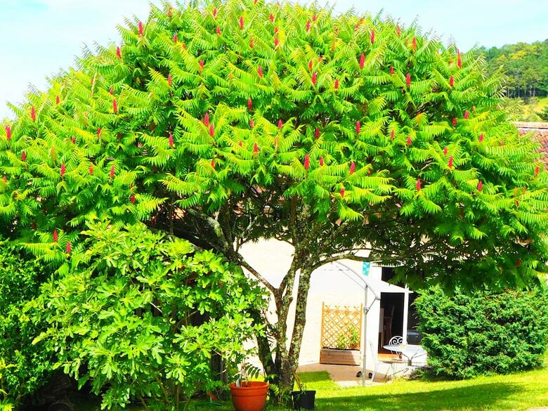 Bed & Breakfast La Belle Verte