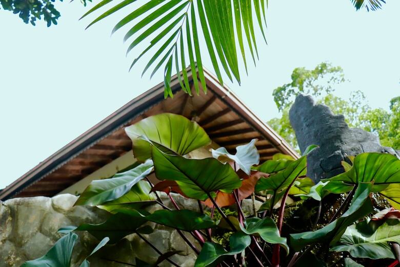 Hotel Paradise Eco Garden