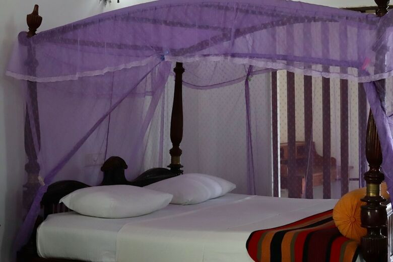 Hotel Paradise Eco Garden