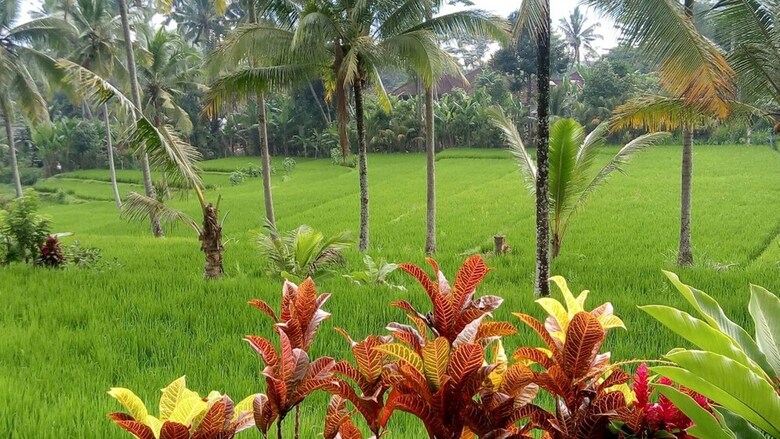 Bed & Breakfast Villa Neyang