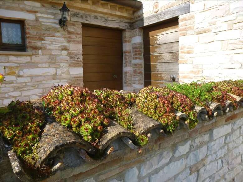 Agroturismo Il Colcello Agriturismo