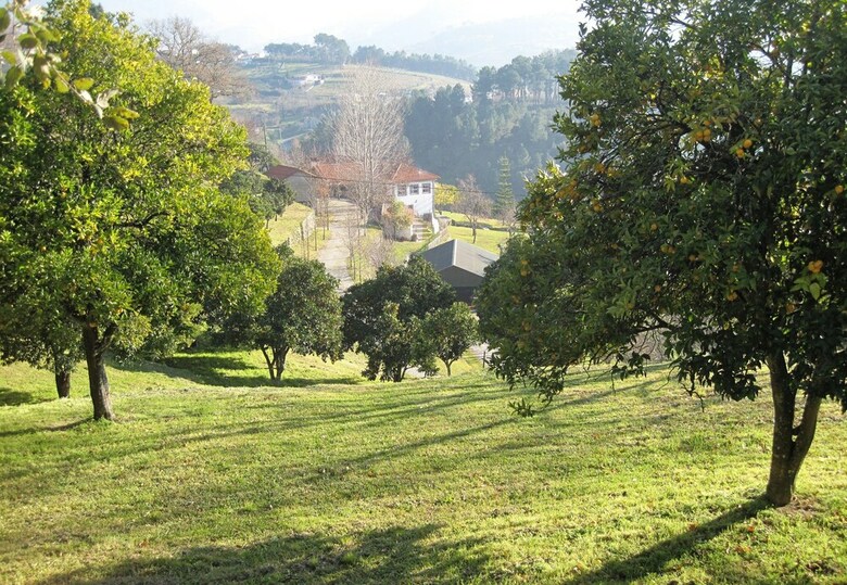 Quinta Do Ervedal