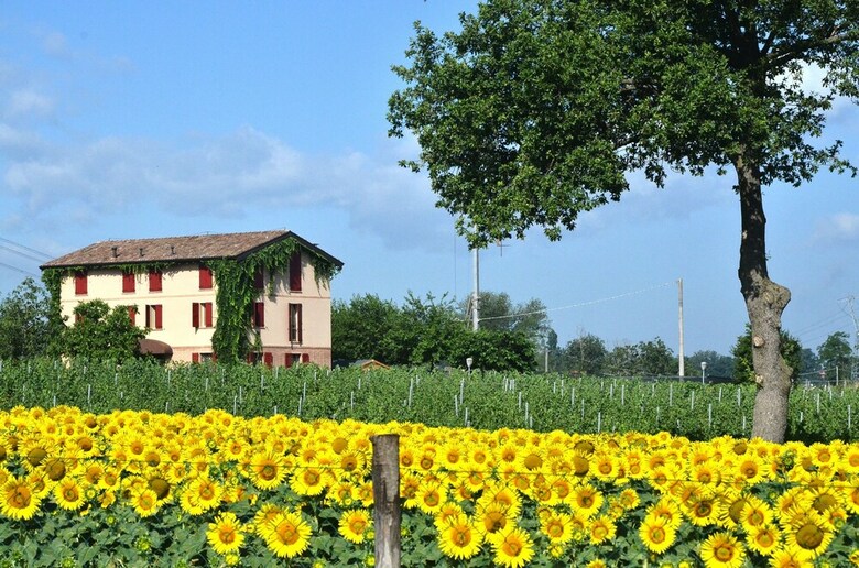 Agroturismo Agriturismo La Razza