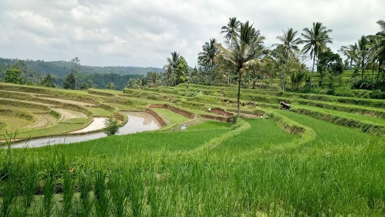 Hotel Asparin Homestay