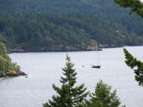 Moonlit Cove B&B