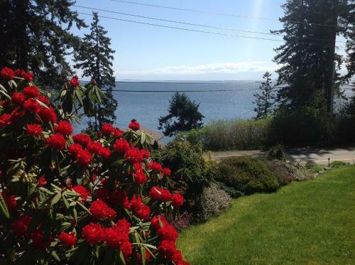 4 Beaches Bed & Breakfast