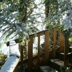 Orca View Cottage
