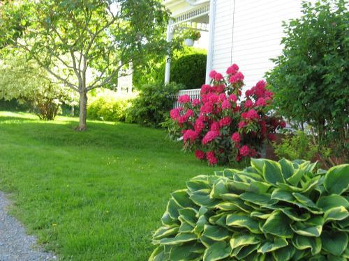 The Nelson House Bed And Breakfast
