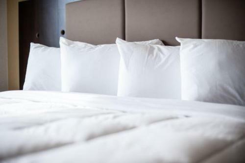 Hotel Western Star Inn & Suites Redvers