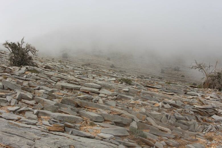 Jabal Al Akhdar Grand Hotel