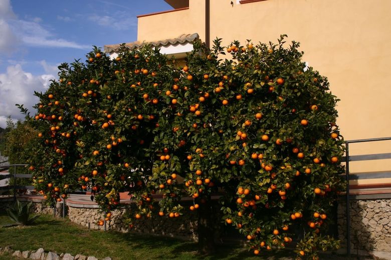 Agroturismo Agriturismo Simonello