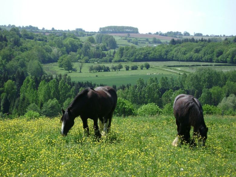 Hotel Les Jardins de Beauve