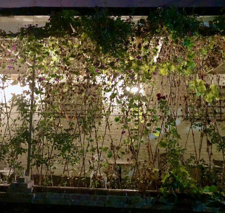Hotel Manhong's Private Courtyard