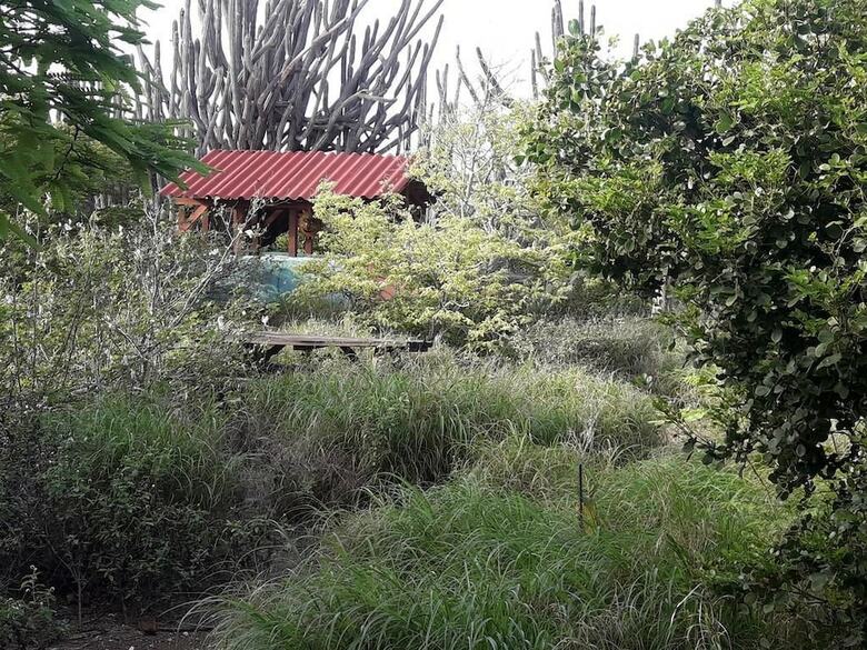 Ecolodge