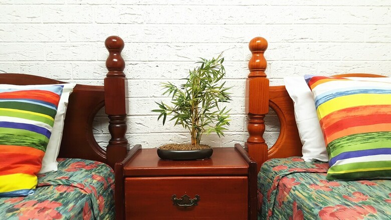 Hostal Nice House In Singleton - Hunter Valley