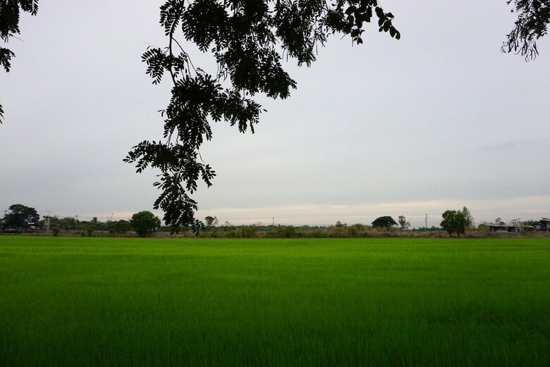 Hotel Punna Homestay @ Bangsai