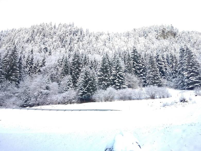 Posada Chalet Les Sapins Enchant�s