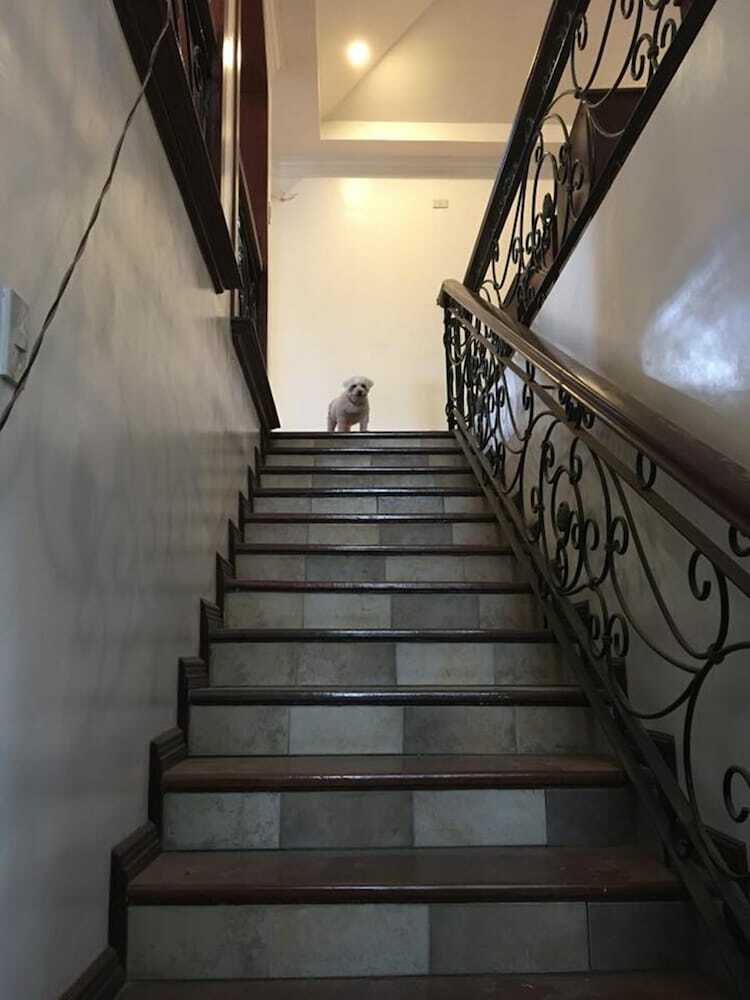 Hostal Spinning Cat Hostel - Adults Only